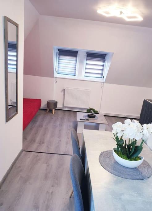 - 3 - Bel Appart,t2- Et Moderne 50m2 Apartment *